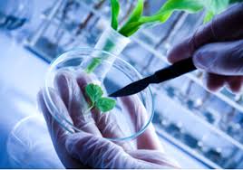 Biotechnology Policy 2018